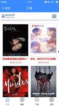 飘花影院91,探索影视世界的璀璨星空